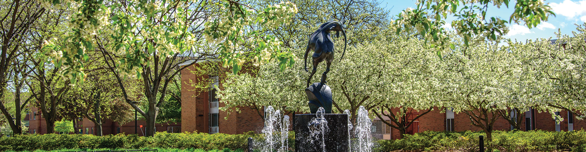 Campus courtyard, fountain and statue